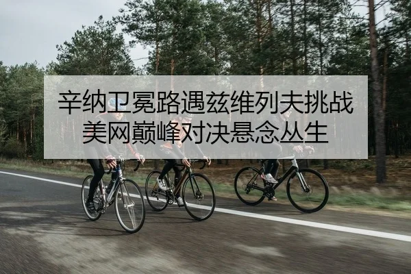 辛纳卫冕路遇兹维列夫挑战 美网巅峰对决悬念丛生